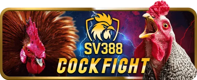 Dịch vụ hỗ trợ khách hàng chuyên nghiệp tại onebox63 win